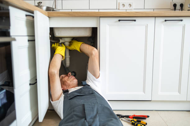Best Local Plumber Services  in Cuba, MO